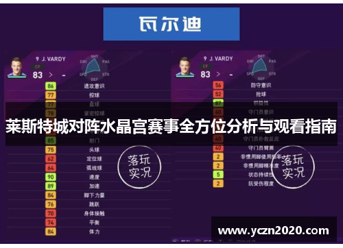 莱斯特城对阵水晶宫赛事全方位分析与观看指南