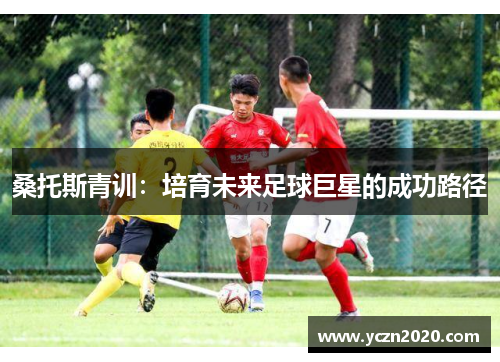 桑托斯青训：培育未来足球巨星的成功路径